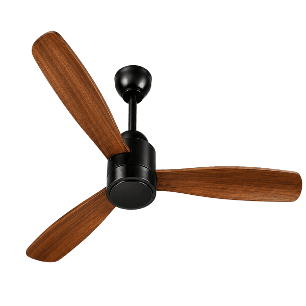 Fan Cleaning